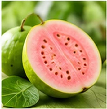 Guava